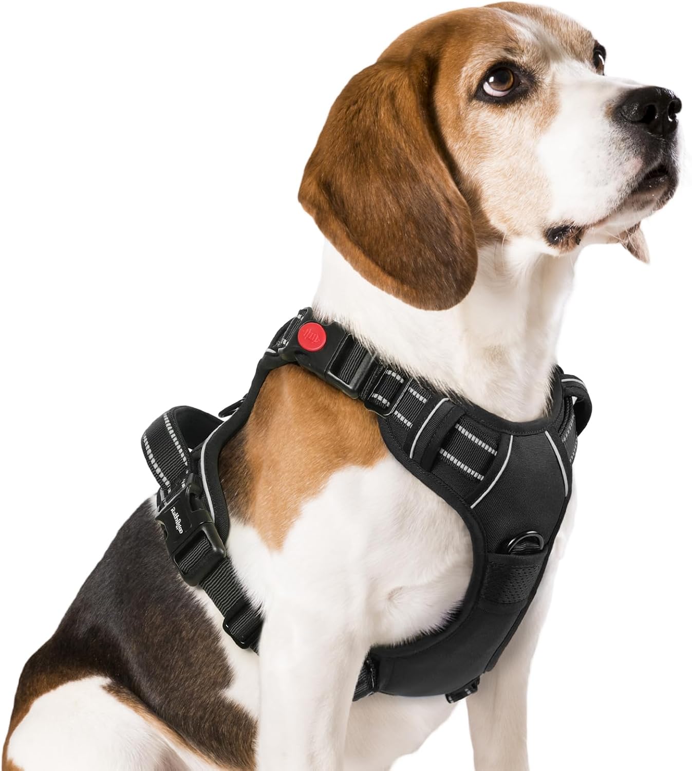 Harnais sécurisé pour chien