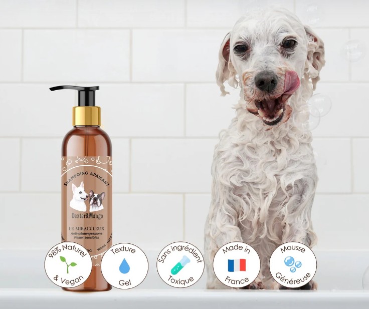 shampoing dexter et mango